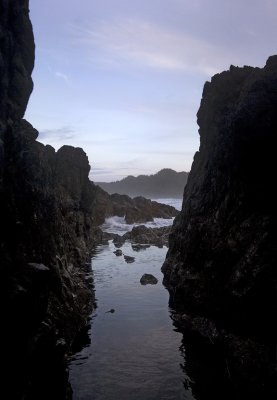 008608286img_1800tofino.jpg
