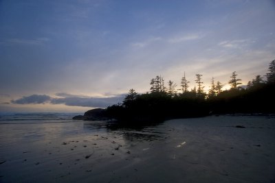 008808488img_1807tofino.jpg