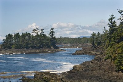 009810998img_1910tofino.jpg