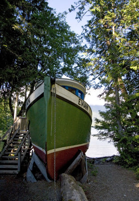 011011710img_1992tofino.jpg