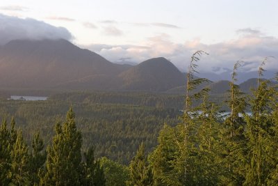 012110021img_2114tofino.jpg