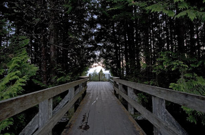 012209722img_2164tofino.jpg