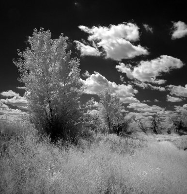 DSC09768reservoir2.jpg