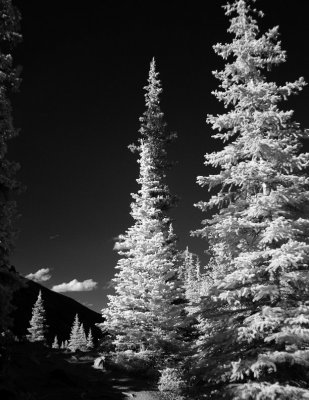 DSC09900moraine.jpg