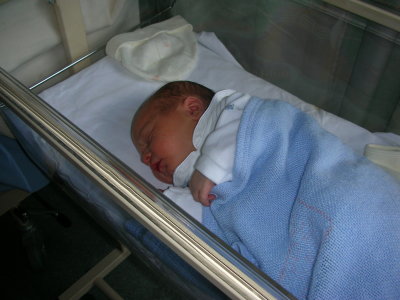 DSCN2384.JPG