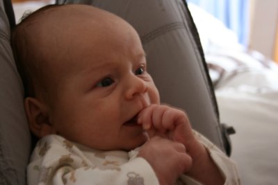 IMG_1061.JPG