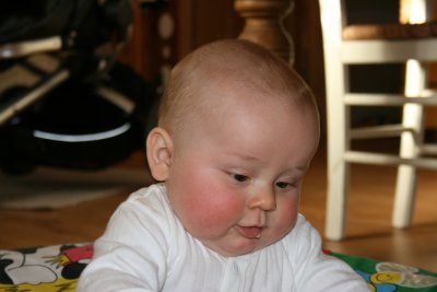 IMG_3027.JPG