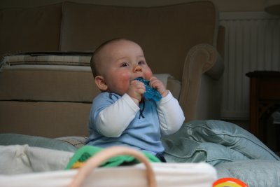 6 1/2 months