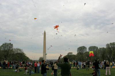 Every body can fly a kite!