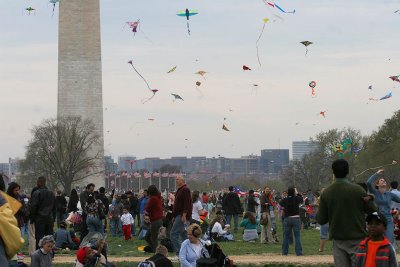 Lofs of people, lots of kites!