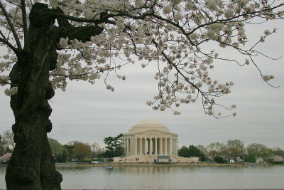 Jefferson Memorial