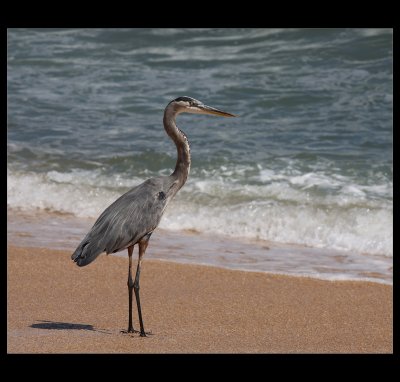 ...a day at the beach...