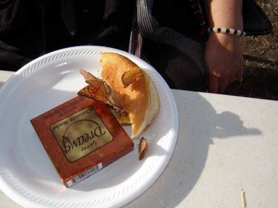 Hey, look, this butterfly is eatin her burger