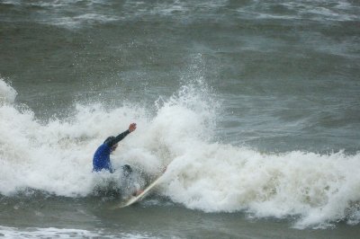 Frenzy 2007 2062 a.jpg