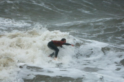 Frenzy 2007 2105 a.jpg