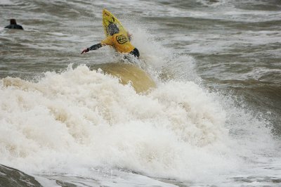 Frenzy 2007 2208 a.jpg