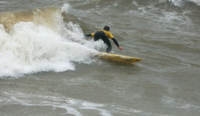 Frenzy 2007 2275 a.jpg