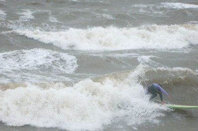 Frenzy 2007 2539 a.jpg