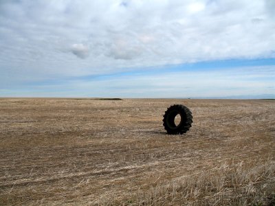 Tractor tire in a field along Montgomery Ridge road.