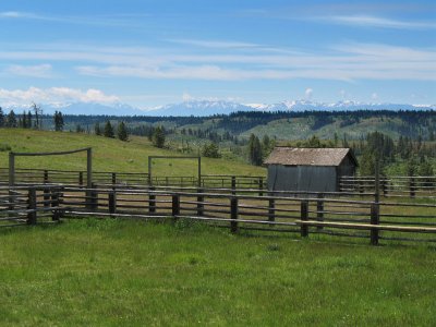 A corral at Cold Spring Cow Camp along FS RD 4680