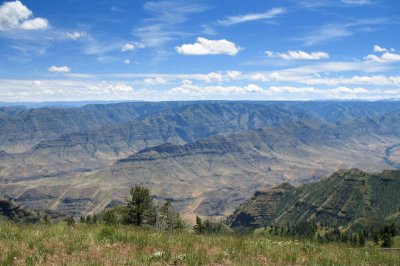 Looking south from Buckhorn view point.