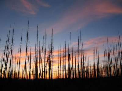 Sunset at Saddle Creek campground, Hells Canyon.