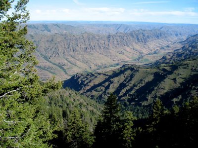 Looking north down the Imnaha River from the Granny View lookout.