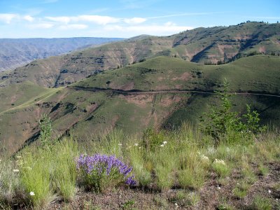 Looking across at Hat Point road on the way back to Imnaha.