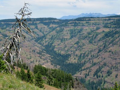 Looking northeast towards the Seven Devils from McGraw lookout.