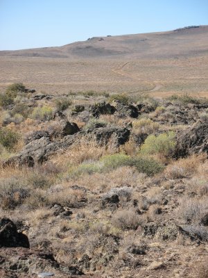 The refuge has expansive open areas of light brush, with some clusters of trees around creeks and springs