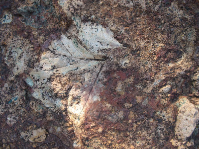 John Day Fossil Beds - Clarno unit