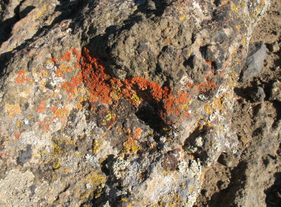 Color on rock at Fort Rock