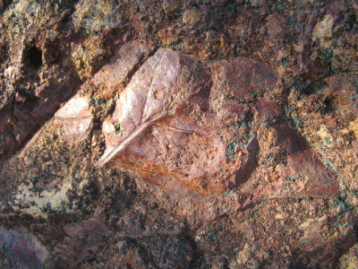John Day Fossil Beds - Clarno unit