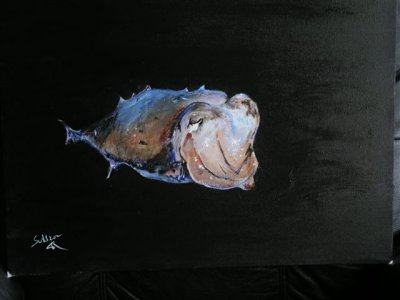 Cuttlefish