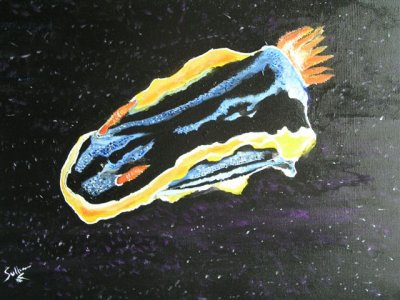 Blue Stripped Nudibranch