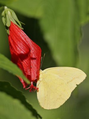 _MG_1623 800.jpg