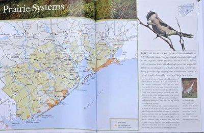 Loggerhead Shrike  Sandhill Crane  HAB book.jpg