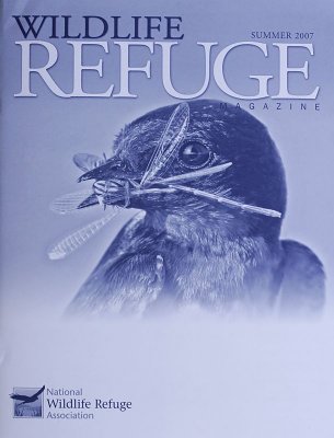 Barn Swallow - Wildlife Refuge Magazine - Cover.jpg