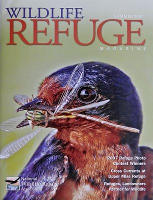 Barn Swallow - Wildlife Refuge Magazine Cover.jpg