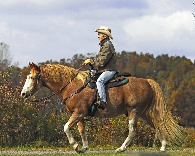 Cowboy ways