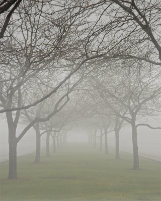 _DSC0009-Pbase.jpg