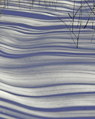 Shadows up close