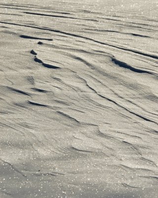 _DSC0045-Pbase.jpg