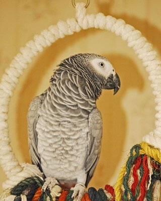 _DSC0028-pbase.jpg