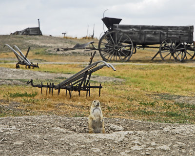 Guard Duty