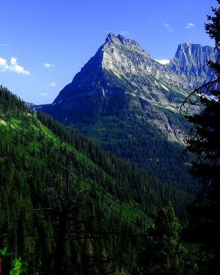 _DSC0133-2-pbase.jpg