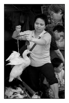 Street Market - Buying A Duck