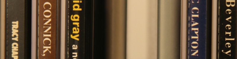 Sigma 17-70::70mm::f/4.5 (100% crop)