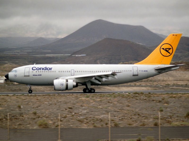 Airbus A310-300 D-AICN