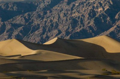 Death Valley sand dunes.jpg